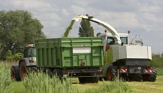 Silage
