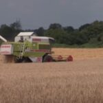 Quinns Tillage video 2015