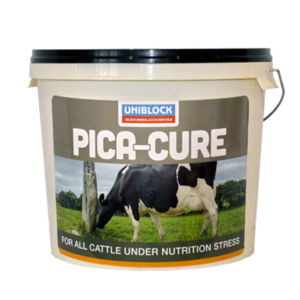 Pica-Cure