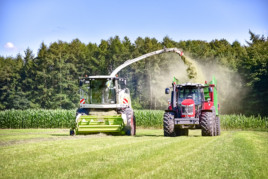 Silage Additive