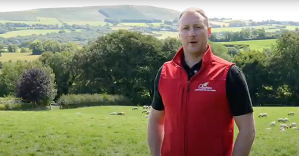 Quinns Ewe Feed with Ciaran Murphy