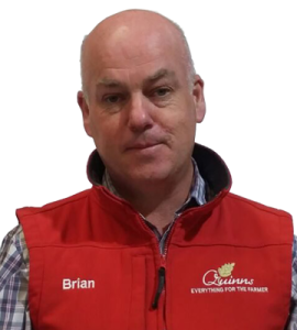 Brian Bermingham Brian Bermingham