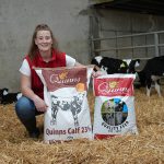 Calf feed