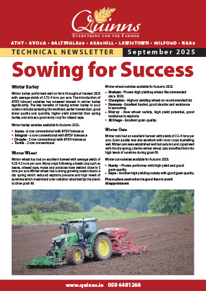 September 25 Newsletter Sowing for Success
