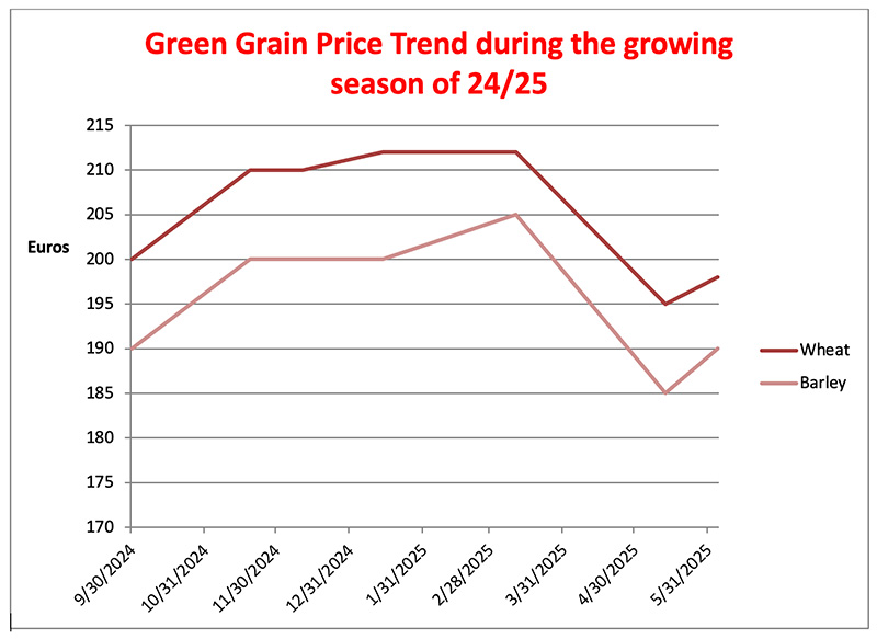 Green Grain Price Trend during the growing season of 24/25