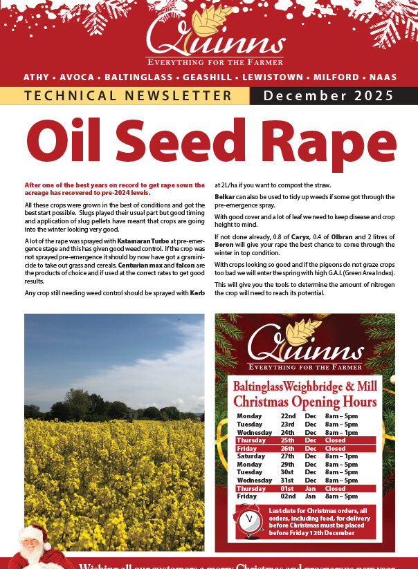 Oil Seed Rape