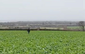 Quinns Oilseed Rape Crop Walk