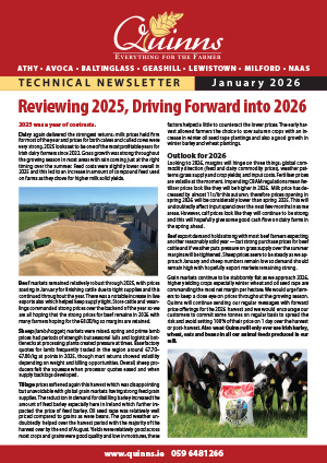 Quinns newsletter January 2026 Reviewing 2025, Driving Forward into 2026