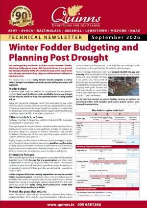 Quinns Newsletter about Winter Fodder